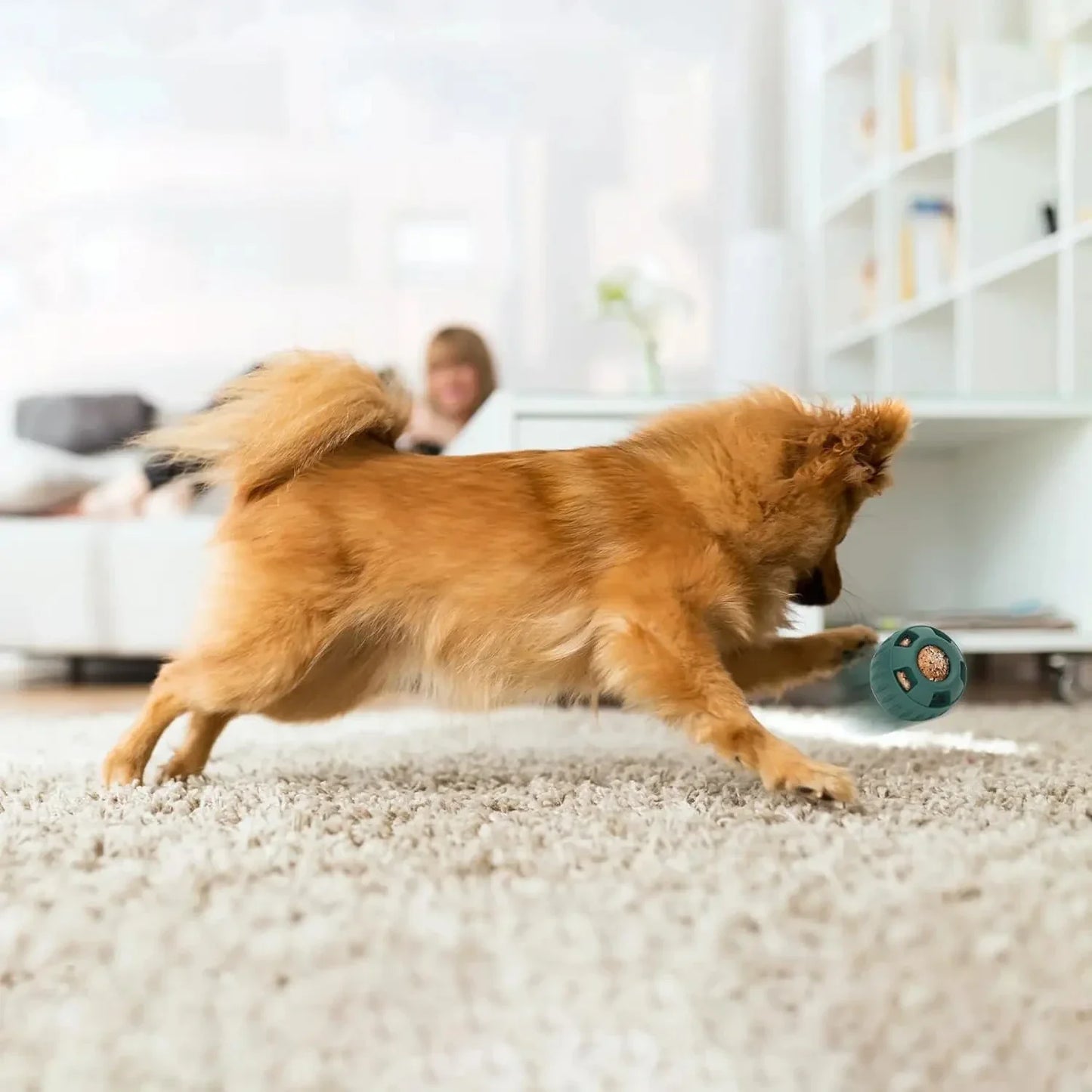 Interactive Treat Fun Dog Toy